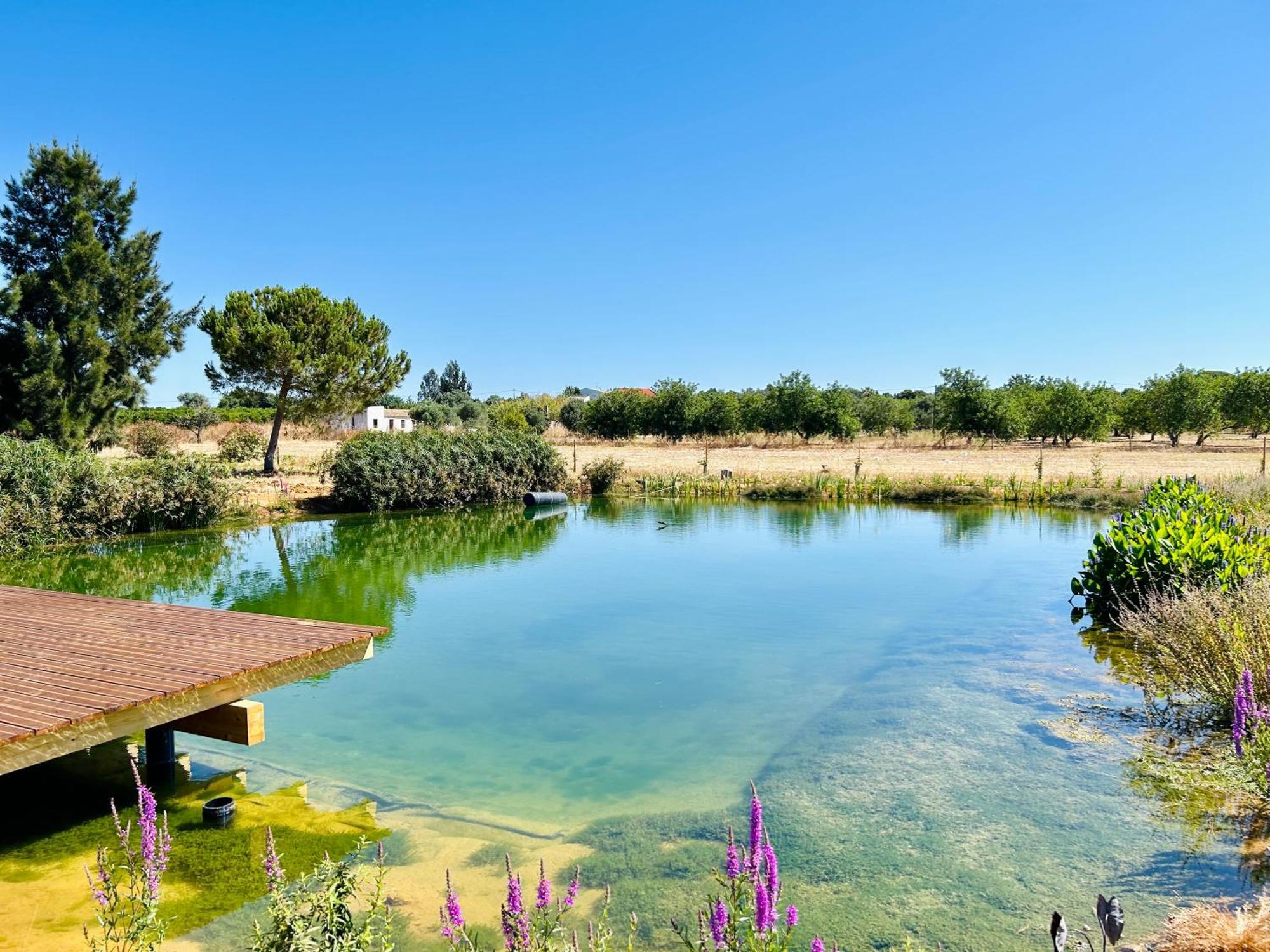 Glamping On Organic Yoga Farm With Natural Swimming Pool Near Beach Монкарапашо Екстериор снимка
